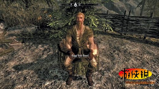 《上古卷轴5:天际》同伴招募条件及要点整理