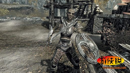 《上古卷轴5:天际》同伴招募条件及要点整理