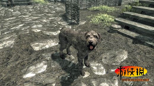 《上古卷轴5:天际》同伴招募条件及要点整理