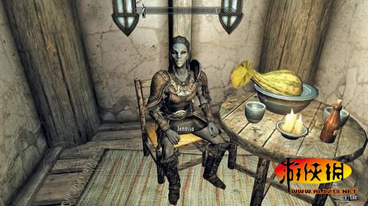 《上古卷轴5:天际》同伴招募条件及要点整理