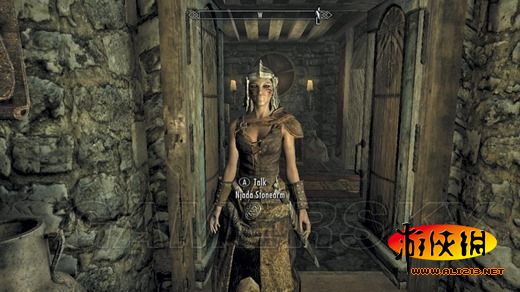 《上古卷轴5:天际》同伴招募条件及要点整理