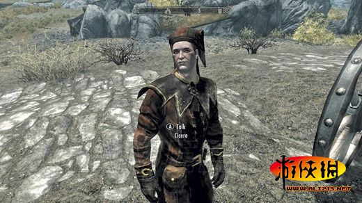 《上古卷轴5:天际》同伴招募条件及要点整理