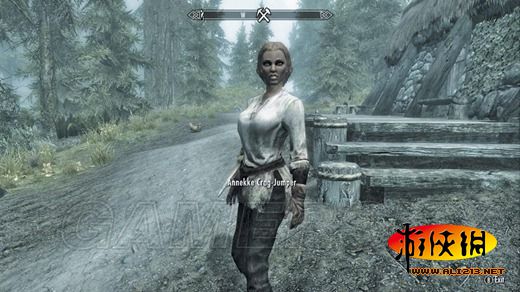 《上古卷轴5:天际》同伴招募条件及要点整理