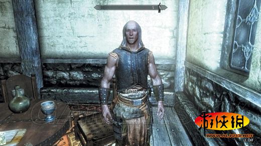 《上古卷轴5:天际》同伴招募条件及要点整理