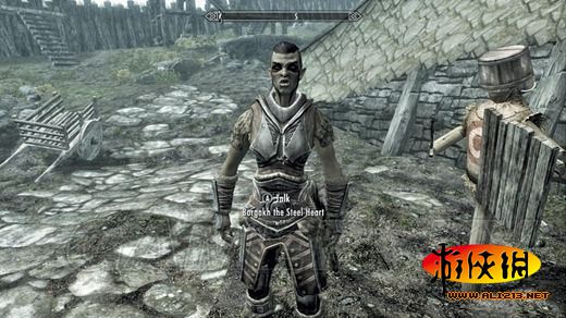 《上古卷轴5:天际》同伴招募条件及要点整理