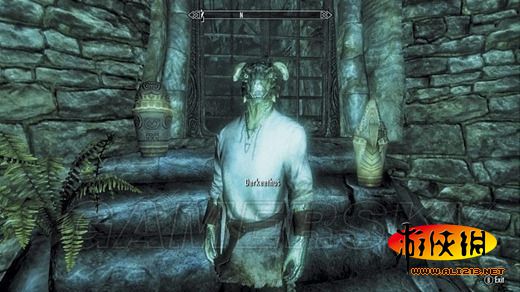 《上古卷轴5:天际》同伴招募条件及要点整理