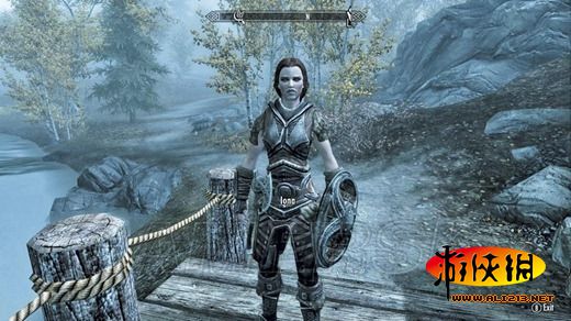 《上古卷轴5:天际》同伴招募条件及要点整理