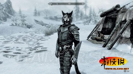 《上古卷轴5:天际》同伴招募条件及要点整理