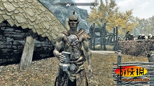 《上古卷轴5:天际》同伴招募条件及要点整理