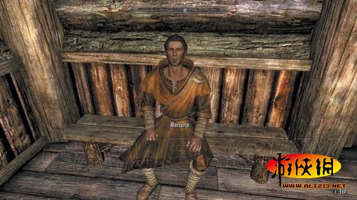 《上古卷轴5:天际》同伴招募条件及要点整理