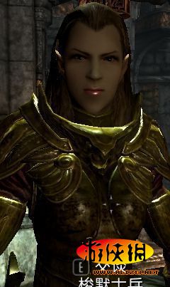 《上古卷轴5:天际》结婚指南-51位佳丽推荐