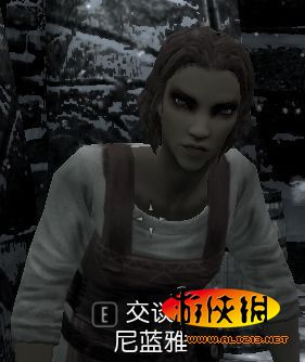 《上古卷轴5:天际》结婚指南-51位佳丽推荐