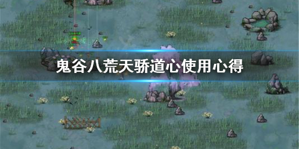 鬼谷八荒天骄道心怎么获取（鬼谷八荒如何获得道心）