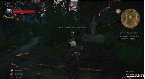 《巫师3:狂猎》DLC猫与狼的游戏任务攻略 猫与狼的游戏怎么做