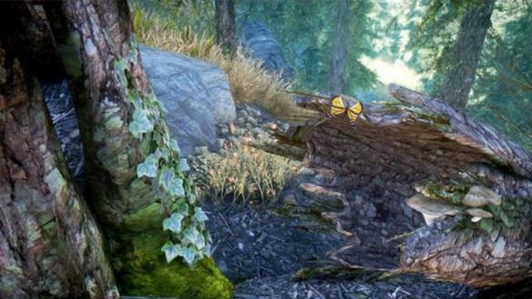 《上古卷轴5：天际》有趣小细节汇总 上古卷轴5不为人知的细节