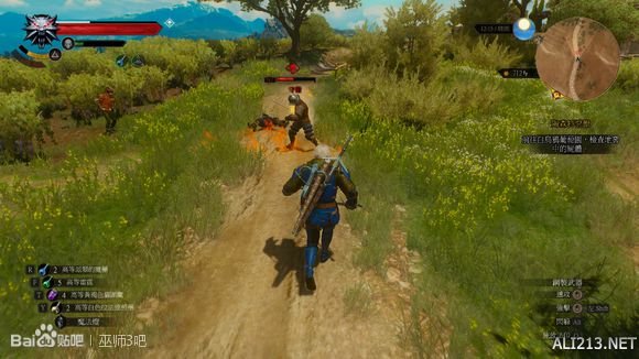 《巫师3:狂猎》血与酒dlc导魔玩法解析攻略