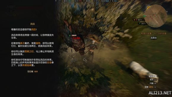 《巫师3：狂猎》控制希里环游世界玩法解析攻略