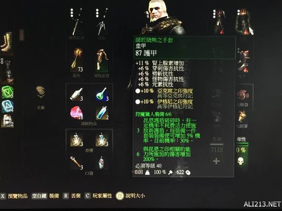 《巫师3：狂猎》师匠级熊装赏析