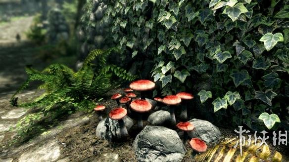 《上古卷轴5:天际》重制版可安全存放自己物品的地点汇总