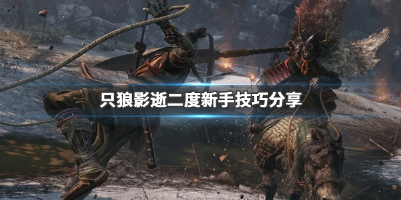 只狼影逝二度新手技巧分享（只狼影逝二度操作技巧）