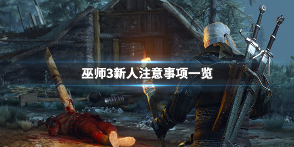 巫师3新人中期攻略推荐(巫师3新人中期攻略推荐装备)