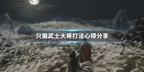 只狼影逝二度武士大将怎么打 只狼 影逝二度大将怎么打