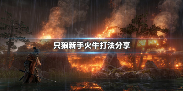 只狼影逝二度新手火牛怎么打(只狼影逝二度火牛无伤打法技巧分享)