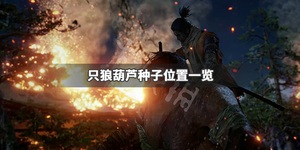 只狼影逝二度最后一个葫芦种子在哪 只狼影逝二度伤药葫芦怎么填满