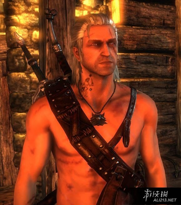 《巫师3：狂猎》国王刺客彩蛋图文赏析