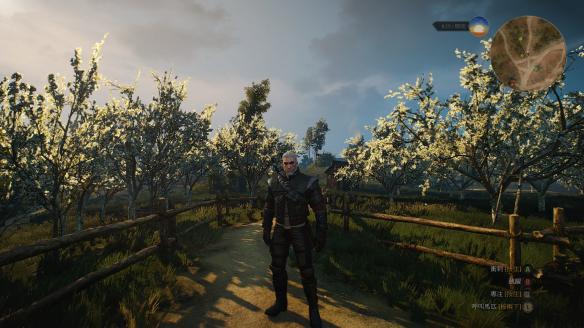 巫师3狂猎全学派极品套装外观图鉴 极品套装有哪些？