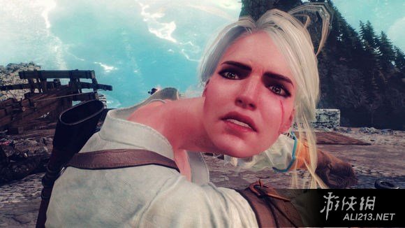 《巫师3:狂猎》1.12升级后部分无法使用脚本型MOD一览