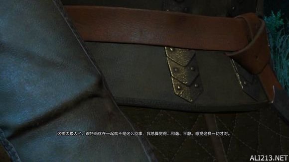 《巫师3:狂猎》1.10 特莉丝线后期新增对话剧情一览