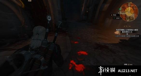 《巫师3：狂猎》血与酒全流程图文攻略【完结】 酒国的使节