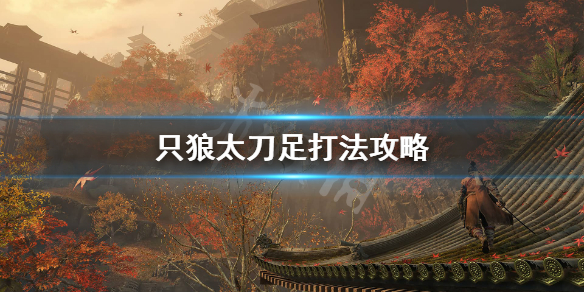 只狼太刀之足怎么打 只狼打完太刀足怎么走