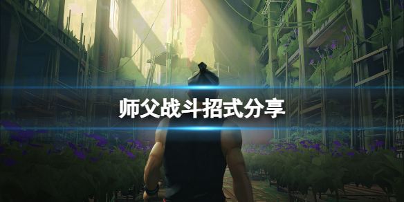 师父战斗系统如何（师父战斗系统如何调中文）