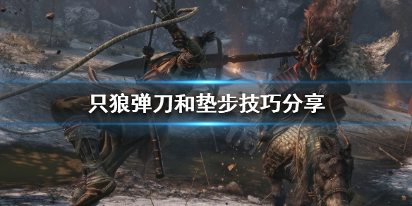 只狼如何成为高手(只狼如何成为高手人物)