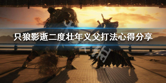 只狼影逝二度壮年义父怎么打 只狼壮年义父在哪