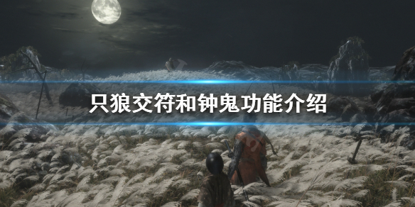 只狼双难是什么（只狼双难才是正常）