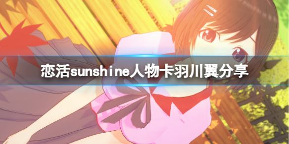 恋活sunshine人物卡羽川翼分享 恋活sunshine贴吧