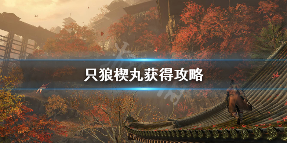 只狼楔丸怎么拿（只狼楔丸设定图）