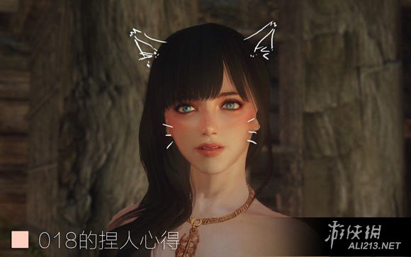 《上古卷轴5：天际》捏脸玩法技巧（上古卷轴天际怎么捏脸）