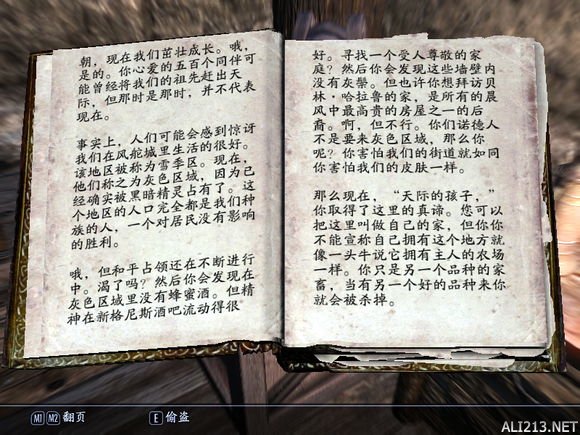 《上古卷轴5:天际》难民休息处背后的故事一览