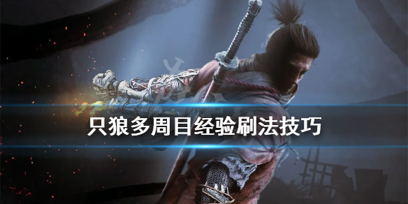 只狼多周目经验怎么刷 只狼 多周目经验