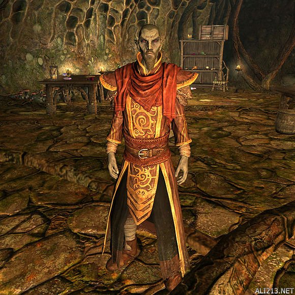 《上古卷轴5:天际》难民休息处背后的故事一览