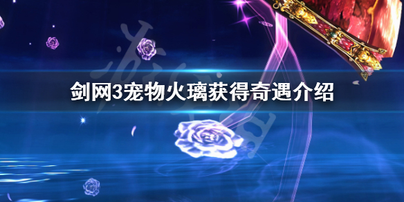 剑网3宠物火璃如何获得（剑网三奇遇宠物火璃）