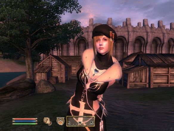 《上古卷轴5：天际》怎么让随从果体（上古卷轴天际中怎么快速获得永久随从?）