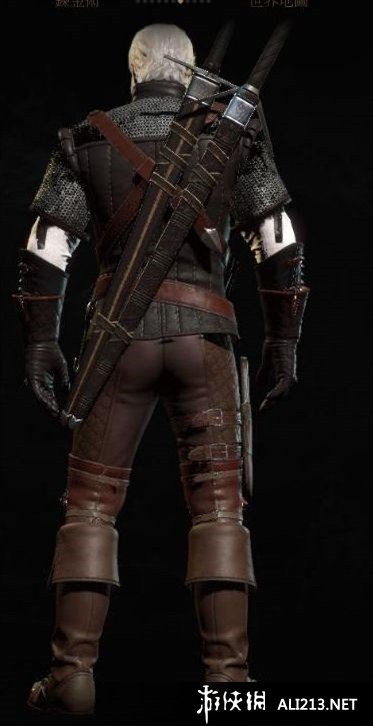 《巫师3：狂猎》各学派极品套装图鉴汇总 半果体