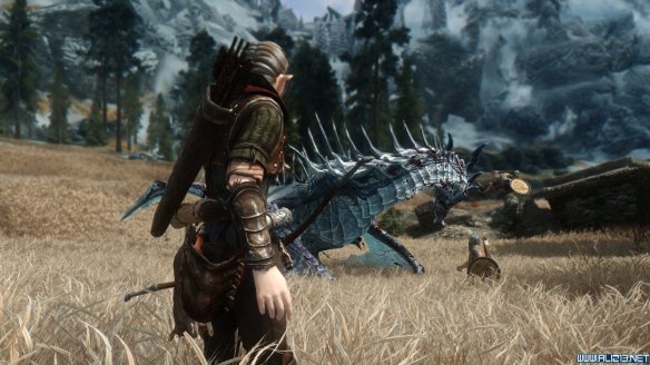 《上古卷轴5：天际》第三届龙裔参赛作品 混血精灵莫妮卡赏析攻略