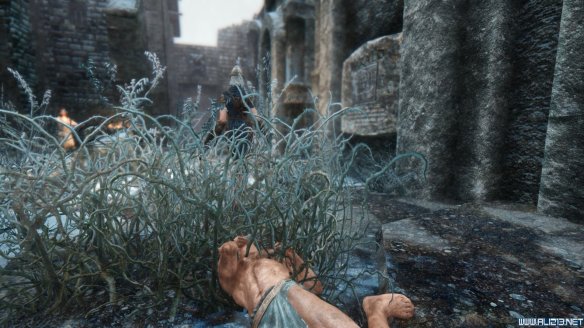 《上古卷轴5：天际》第三届龙裔参赛作品 混血精灵莫妮卡赏析攻略