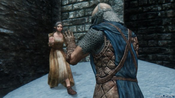 《上古卷轴5：天际》第三届龙裔参赛作品 混血精灵莫妮卡赏析攻略